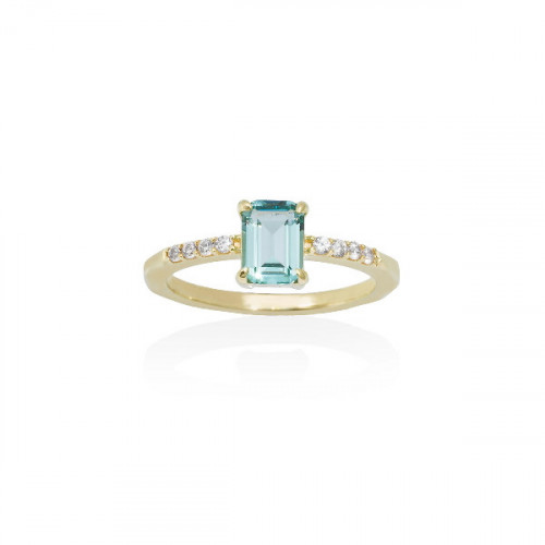 RING NIZA PARAIBA