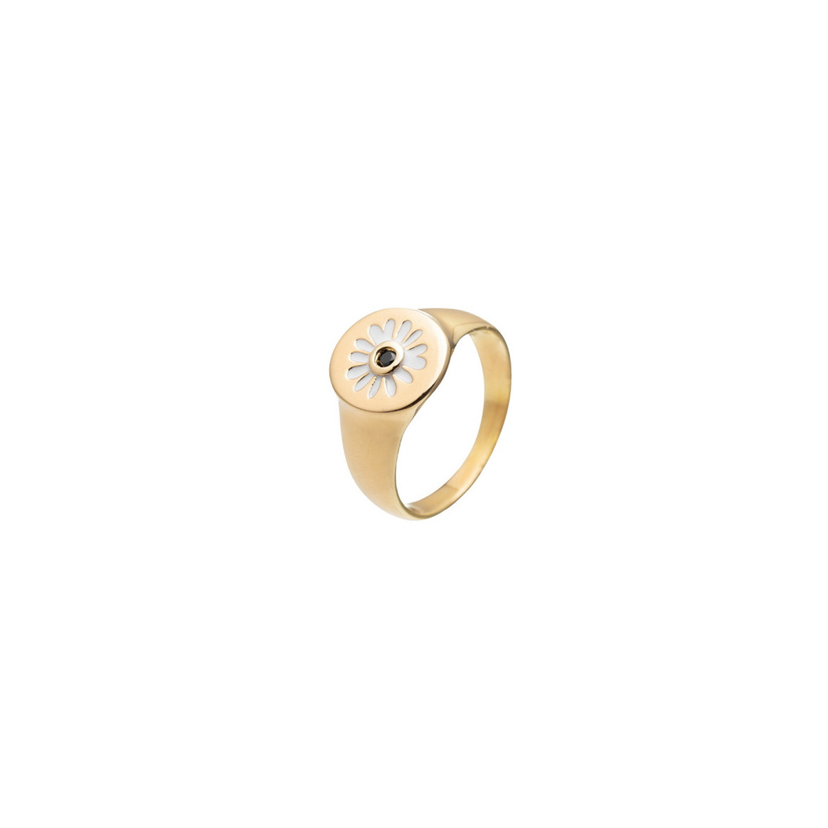 ANILLO ANCHO CIAM
