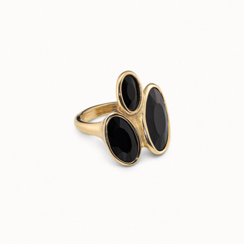 ANILLO KINGDOM