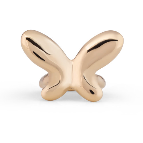 ANILLO BUTTERFLY EFFECT